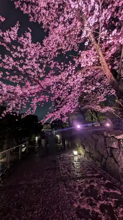 知恩院(京都府)