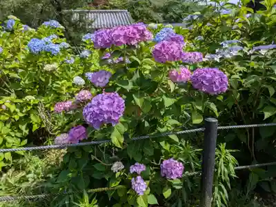 本土寺(千葉県)