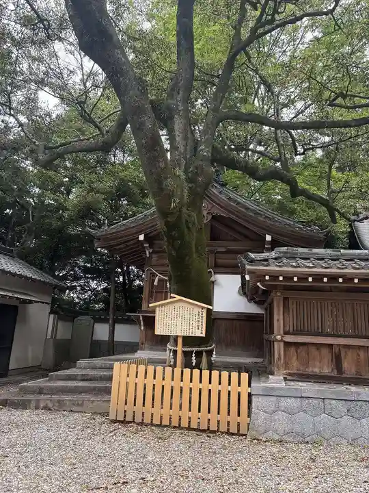 多賀神社(尾張多賀神社)(愛知県)