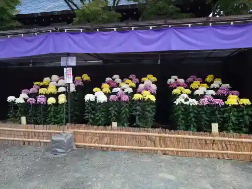 宗像大社(福岡県)