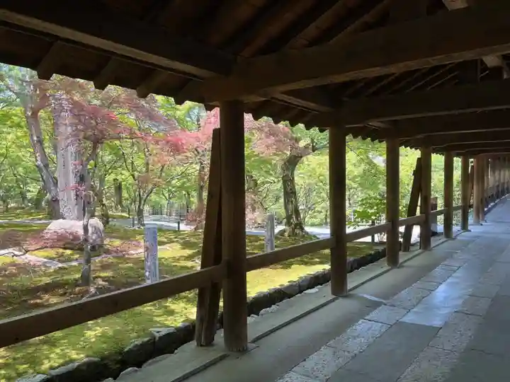 東福禅寺(東福寺)(京都府)