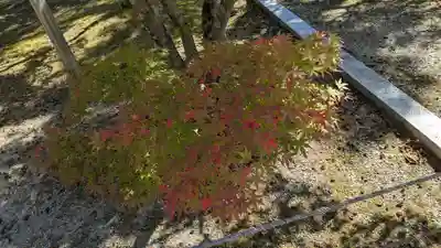 光明寺（粟生光明寺）(京都府)