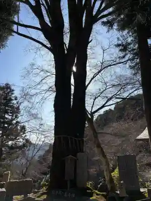 正法寺の{uncategorized: "未分類", other: "その他", undefined: "問題あり", building: "その他建物", grave: "お墓", sacred_gate: "鳥居", guardian: "狛犬", statue: "像", buddha: "仏像", history: "歴史", nature: "自然", garden: "庭園", animal: "動物", pagoda: "塔", temizu: "手水舎", mountain_gate: "山門・神門", sanctuary: "本殿・本堂", subordinate: "末社・摂社", art: "芸術", scenery: "景色", jizo: "地蔵", ema: "絵馬", goshuin: "御朱印", omikuji: "おみくじ", items: "授与品その他", amulet: "お守り", goshuincho: "御朱印帳", eats: "食事", festival: "お祭り", votive_dance: "神楽", shichigosan: "七五三参", wedding: "結婚式", experience: "体験その他", initially: "初詣", around: "周辺", anti_infection: "感染症対策"}