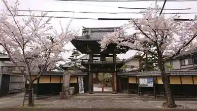 正興寺の山門・神門