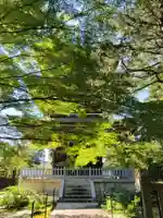 道場寺のその他建物