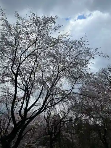 大宮温泉神社(栃木県)