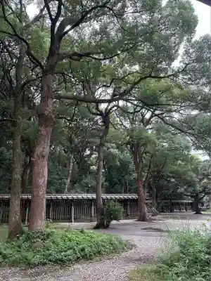 明治神宮(東京都)