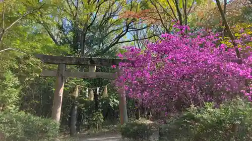 吉備津岡辛木神社の鳥居