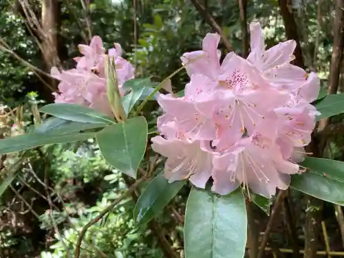 船宿寺(奈良県)