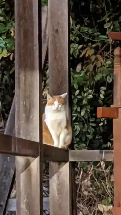 八事山 興正寺(愛知県)