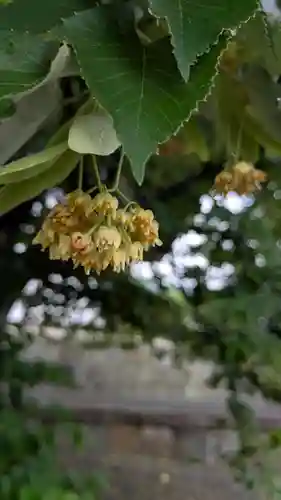 くろ谷 金戒光明寺(京都府)