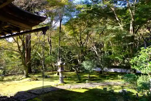 高山寺の庭園