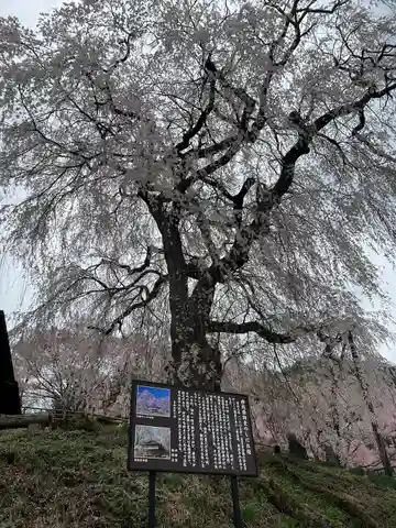 勝間薬師堂(長野県)