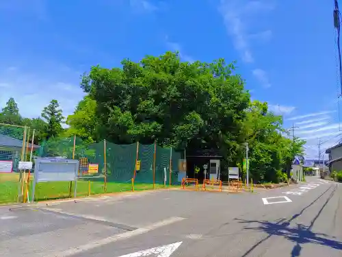 大野神社（浅井町大野）(愛知県)
