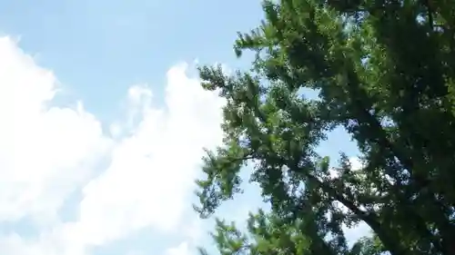 護王神社(京都府)