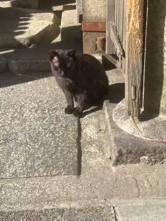 津島神社の動物