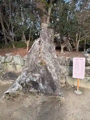 與止日女神社(佐賀県)