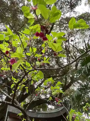 上地八幡宮(愛知県)