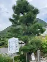 出釋迦寺(香川県)