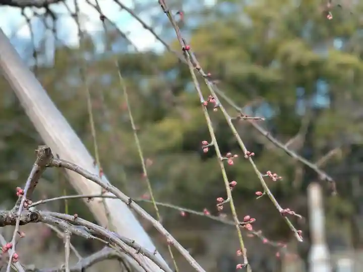伊勢の国 四天王寺の自然