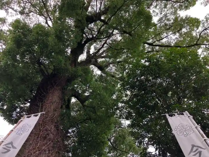 今宮神社(静岡県)