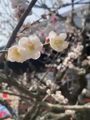 岩津天満宮(愛知県)