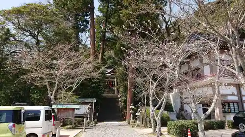 高瀧神社の自然