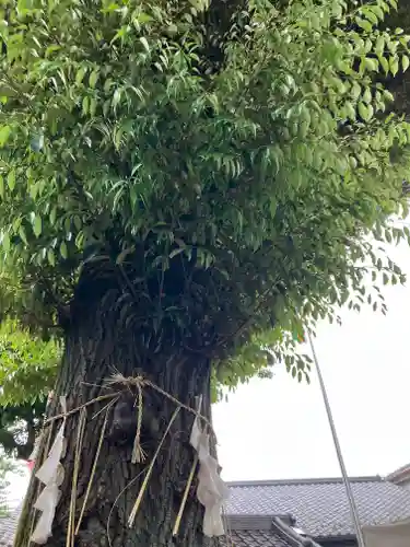 蛇窪神社(東京都)