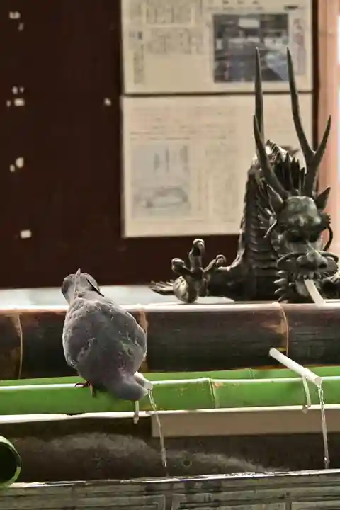 宇都宮二荒山神社(栃木県)