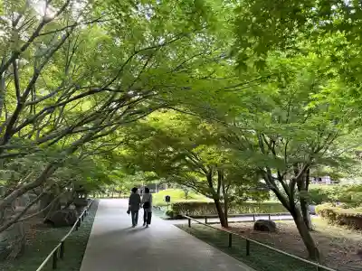 淨眞寺の{uncategorized: "未分類", other: "その他", undefined: "問題あり", building: "その他建物", grave: "お墓", sacred_gate: "鳥居", guardian: "狛犬", statue: "像", buddha: "仏像", history: "歴史", nature: "自然", garden: "庭園", animal: "動物", pagoda: "塔", temizu: "手水舎", mountain_gate: "山門・神門", sanctuary: "本殿・本堂", subordinate: "末社・摂社", art: "芸術", scenery: "景色", jizo: "地蔵", ema: "絵馬", goshuin: "御朱印", omikuji: "おみくじ", items: "授与品その他", amulet: "お守り", goshuincho: "御朱印帳", eats: "食事", festival: "お祭り", votive_dance: "神楽", shichigosan: "七五三参", wedding: "結婚式", experience: "体験その他", initially: "初詣", around: "周辺", anti_infection: "感染症対策"}