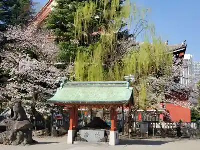 浅草神社(東京都)