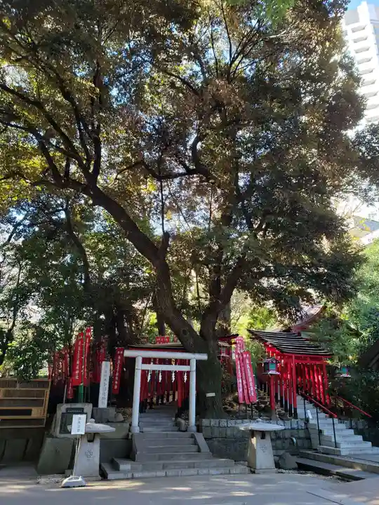 乃木神社(東京都)