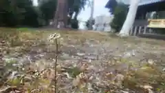 天神社（南治郎丸天神社）の自然