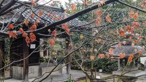 勝林寺(京都府)