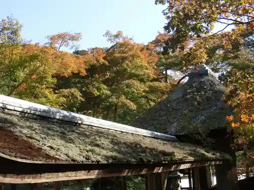金剛寺のその他建物