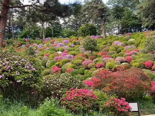 塩船観音寺の景色