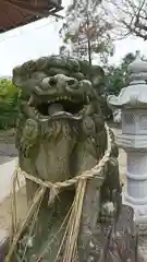 河内阿蘇神社の狛犬