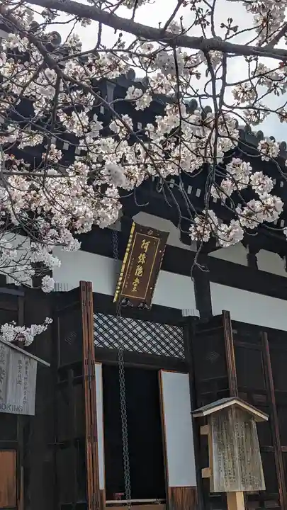 くろ谷 金戒光明寺(京都府)