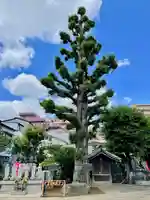 福王山 慈眼寺のその他建物