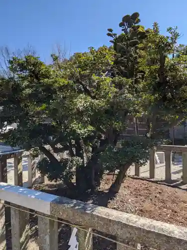 常泉寺の像