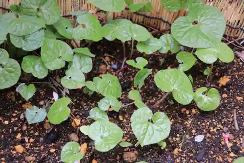 土津神社｜こどもと出世の神さまの自然