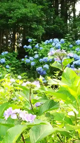 持寳院(多気不動尊)の自然