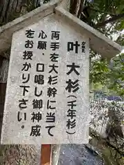 丹生川上神社（中社）(奈良県)