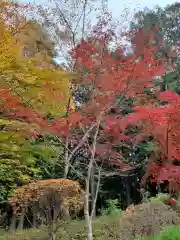 福泉寺の自然