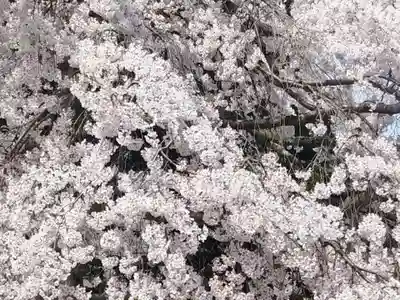 三宝院（三宝院門跡）(京都府)