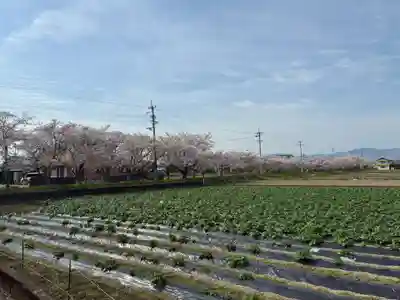 八坂神社(徳島県)