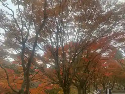 英彦山豊前坊高住神社(福岡県)