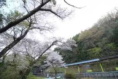 天神社(埼玉県)