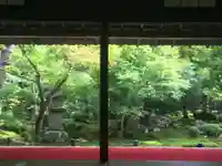 圓光寺の庭園