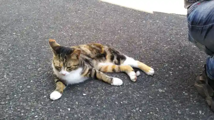 遠野郷八幡宮の動物
